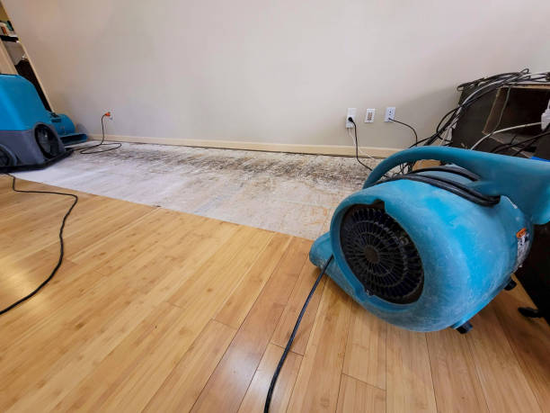 Professional Sewage Cleanup technician working in Cascade, IA